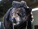 Medvěd na koksu film