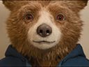 Paddington v Peru film