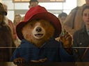Paddington v džungli film
