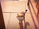 Miss Moxy film