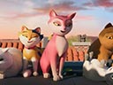 Miss Moxy film