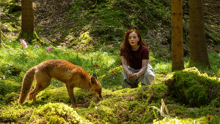 Podívejte se na video