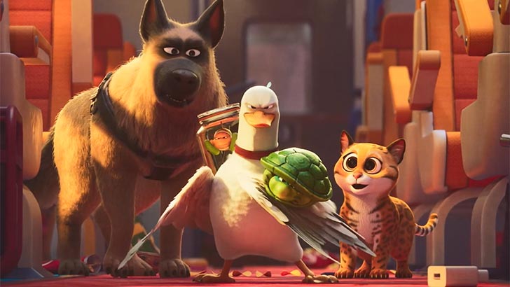 Podívejte se na video