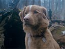 Good Boy film