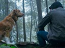 Good Boy film
