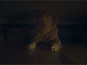 Good Boy film