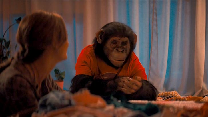 Podívejte se na video